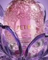 Petra Viola